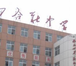 東麗四合莊中學